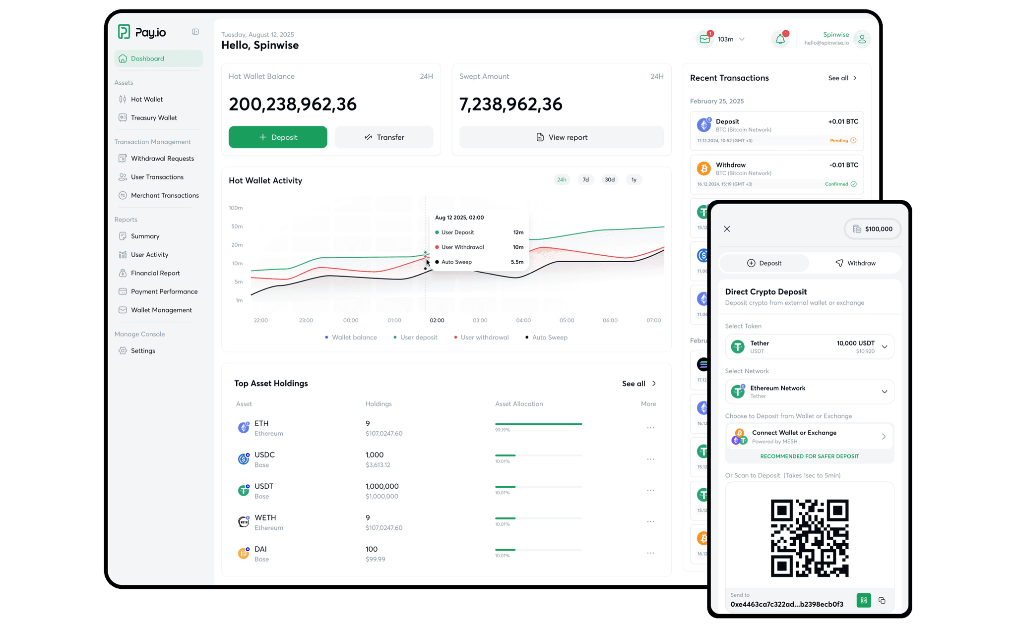 Pay.io — open the case study